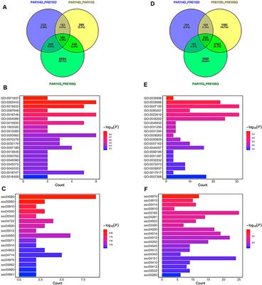 Identifying Candidate Genes for Short Gestation Length Trait in Chinese Qingping Pigs by Whole-Genome Resequencing and RNA Sequencing